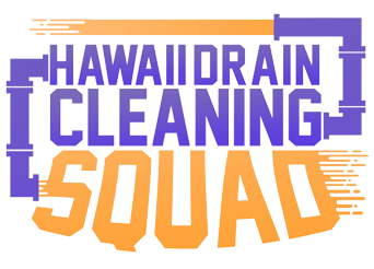 Hawaii's Premier Drain Cleaning Services - Fast & Dependable